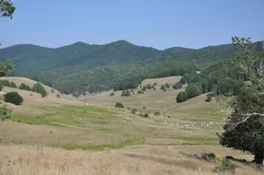 Locanda Pecora Nera - Image 4