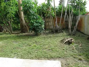 Indigo - Image 3