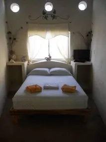 Kame House - Image 3
