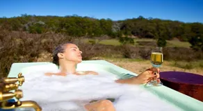Tea Tree Hollow - Image 4