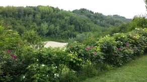 Casa Rossa Monferrato - Image 5