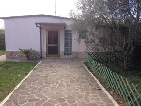 BEB LATINA - Image 2