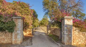 Son Pruners - Image 5