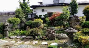 HACHI - Image 4