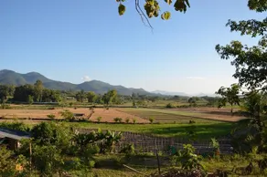 Noi's Secret Garden - Image 5