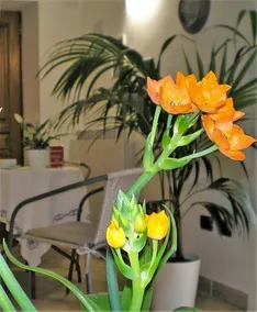 Itaca B&B - Image 5