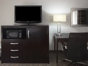 Holiday Inn Corpus Christi Airport & Conference Center - Image 3