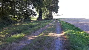 Chez Cathy - Image 5