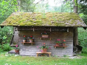 Bergrose - Image 4