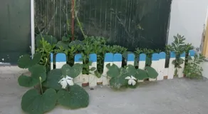 Casa Sol Alentejano - Image 3