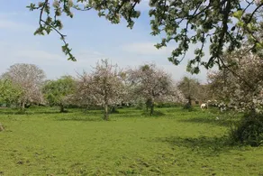 The Old Cider House - Image 4