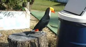 Pousada São Pedro - Image 4