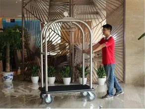 St Fleur Conifer Haikou - Image 3