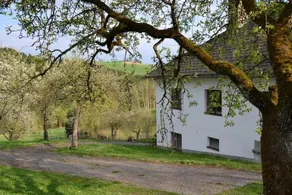 Auf Der Kuhweide - Image 5