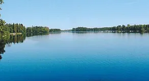 Koivikko - Image 2