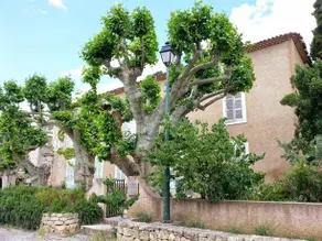 Maison Familiale Le Château de Bauduen - Image 3