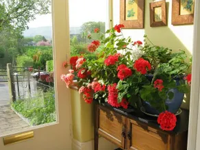 Summerhill Sedbergh - Image 2