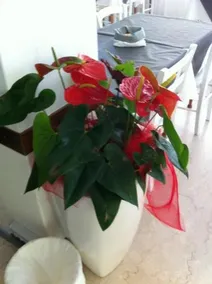 Hotel Villa Maris - Image 5