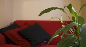 Olly Apartments - Image 2