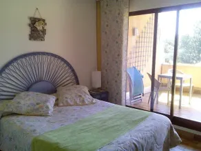 Les Palmiers - Image 4