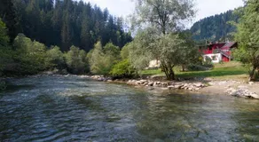 Smileys Fluss Chalet - Image 2