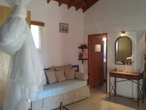 Olive Grove - Image 5