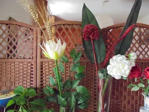 Casa Lilly - Image 4