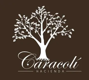Finca Hacienda Caracoli - Image 4