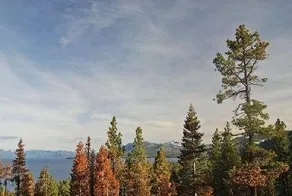 Darling mountain cabin with a private hot tub, WiFi, wood stove, & washer/dryer - Image 5