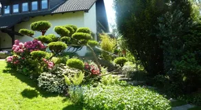 Fewo-Fuchshain - Image 2