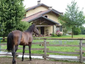 B&B Notte Stellata - Image 2