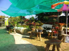 Indian View - Image 3