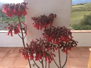 Casa al Cerro - Image 2