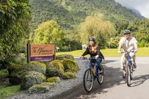 Te Waonui Forest Retreat - Image 2