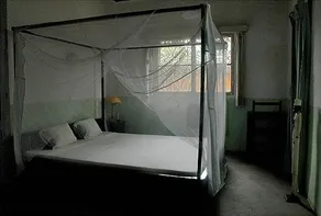 Villa Bobo - Image 2
