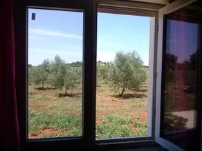 Olive House Sisan - Image 4