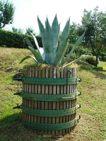 Agriturismo La Vigna - Image 2