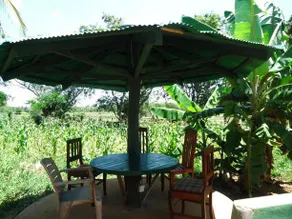 Hasthi Restaurant - Image 5