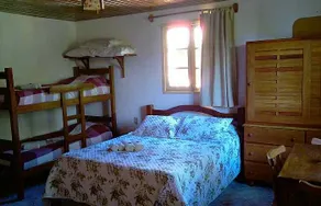 Flats Koala - Image 5