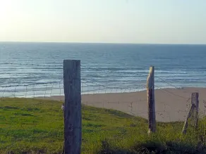 Don Ramón - Image 3