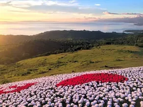 Bamboo beach pension - Image 5