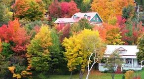 Auberge Aventure Rose des Vents - Image 5