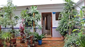 Vivienda Turística en Típico Patio Cordobés San Basilio - Image 2