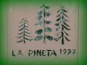 Hotel Pineta - Image 4
