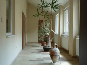 Apartmán Palava - Image 2