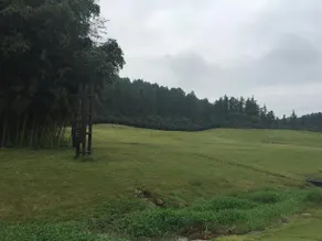 Anji Dongsha Lake Farm Stay - Image 5