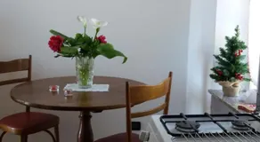 margherita - Image 3