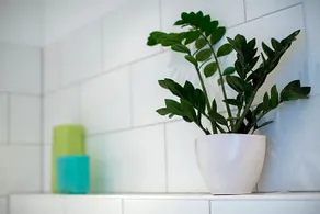 Hotel Schewe - Image 3