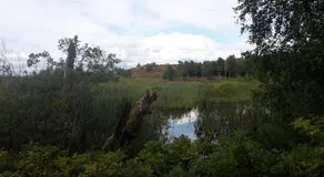 Hytten - Image 2