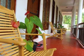 Ozone Resort - Image 2